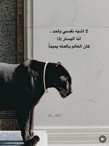 Arabe_Talent Public  3টি ছবি