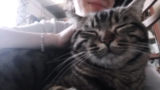 MerrieBarnicle Fluffy happiness 😻🌸 Pic 2