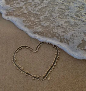 incognitobdy Places 사진