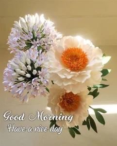 Sainicpl Public зображення 3