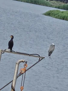 Korea-Kiss 이쁜꽃 Poză 2