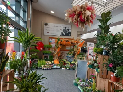 Micversa@xh Public Foto