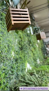 Italy, Venice & Padova od VallerieJones  7 snímek