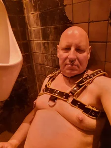 CgnWolf Public Foto 2