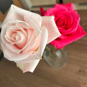 Fuka_0012 kullanıcısının Public albümü -  fotoğraf