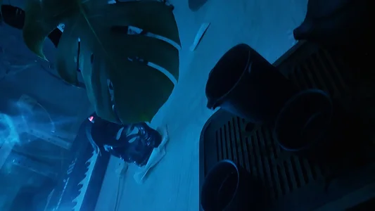 Zdjęcia RocKStone_ tea love<3:  4