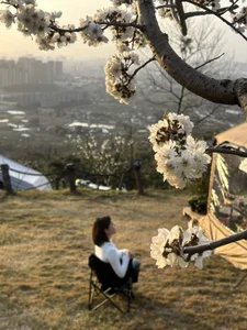 SuSu-521 Public Immagine  8