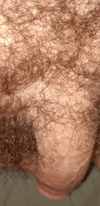 Aluntrus@xh Public Foto 5