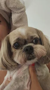 SophiaPottsPart of me图片