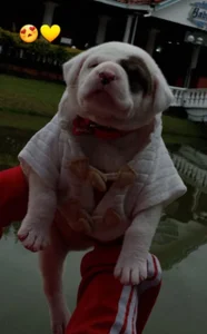 MarianaGarciaa__ Sun days! Pic 5