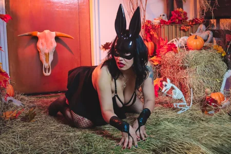 DonnaJoness Cat-Women صورة واحدة|DonnaJoness Cat-Women صورتان|DonnaJoness Cat-Women  2 صور|DonnaJoness Cat-Women  2 صورة