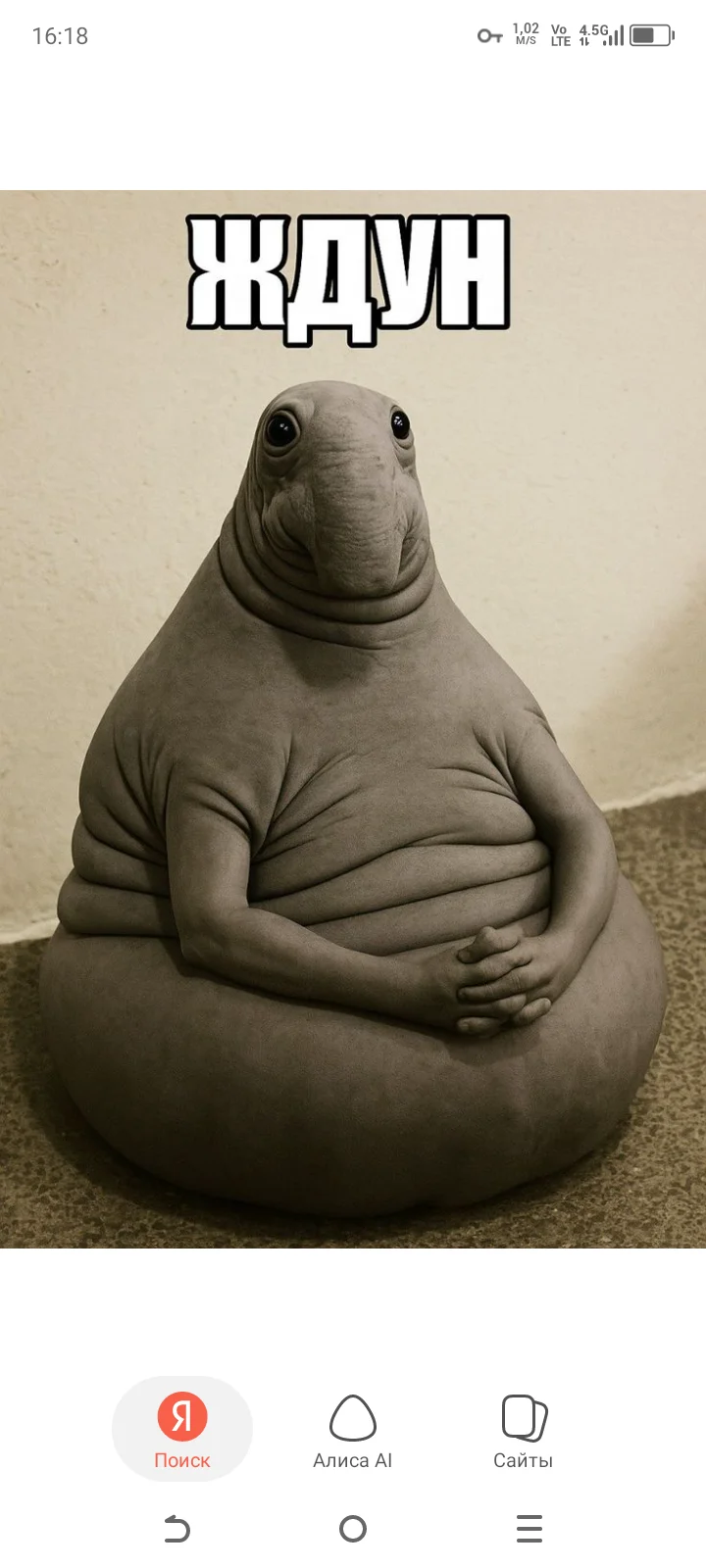 BigBoy023 님의 트렌드 중인 사진  2114개