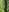 Lisvandr's photo