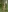 Helen1974's photo