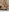 hothothot