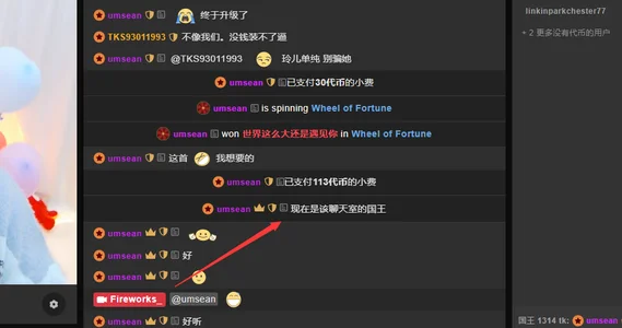 Fireworks_ Public Pic