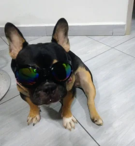 The joyful heart beautifies the face. 🥰💓 de luzcastillo07 Foto