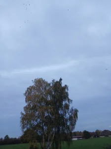 nmyour Public зображення 4