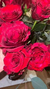 Sara_Browney My Passion for Flowers❤️Thank you, gentlemen! Gambar 3