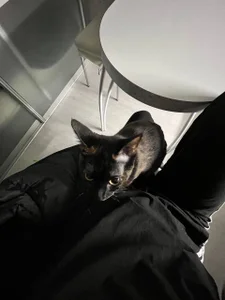 rara_ruru Eve Immagine  5