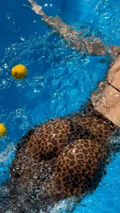 Playful_Amanda Public зображення 4