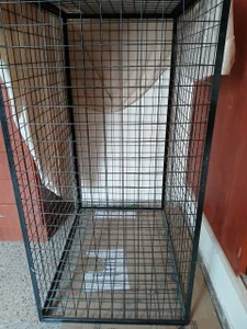 BdsmSlaveargentina Public Foto 8