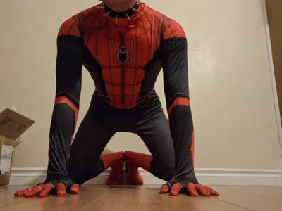 smdog1 spideman  2. fénykép