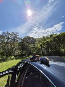 Sam_Sara kullanıcısının Au revoir novembre 🍂 albümü -  2 fotoğraf