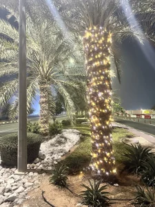 Public od Sperma_v_rotic  5 snímek