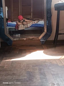 Public de Scorpion_22cm  Imagens