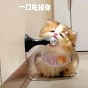 BeB-88 这个我是真喜欢 Pic 5