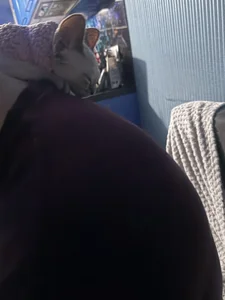 Public od lera_lovein  9 snímek