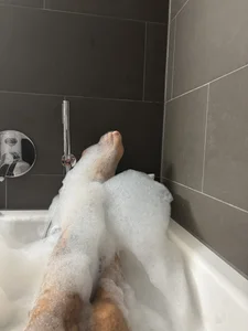 Hobbit_78 Public Gambar 4