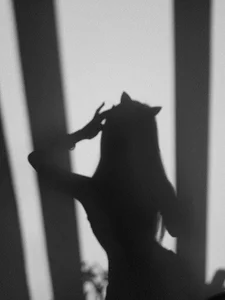 linxsqdのPublicの 4枚の写真