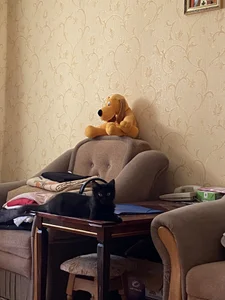 My pets✨ od SugarMuse  8 snímek