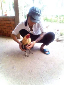 Binhhony Public Immagine  4