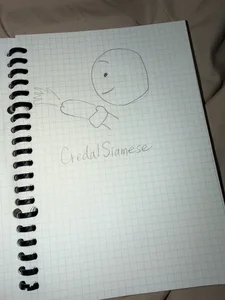 BabyOneDaily Public 圖片 5