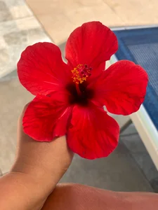 CelesteBailey: Egypt Vacation 🙈 ( 4 фото)