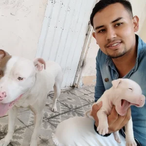 pipe_duque_ kullanıcısının Hello 😈🍆 albümü -  3 fotoğraf