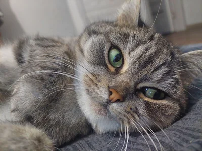 MelissaMays 😻😻😻😻😻😻😻😻 Pic 2