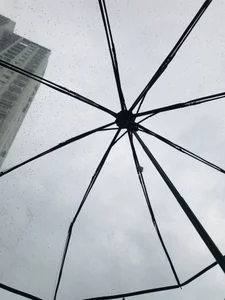 summer_11 Public Hình 5