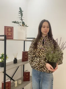 VinniePoplar Public صورة واحدة|VinniePoplar Public صورتان|VinniePoplar Public  8 صور|VinniePoplar Public  8 صورة