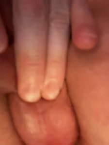 flaxlesh Test টি ছবি