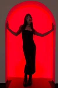 Draculairis Public Billede 3