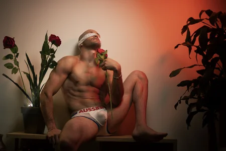 AxelFairchaildValentine’s Day’s Bild