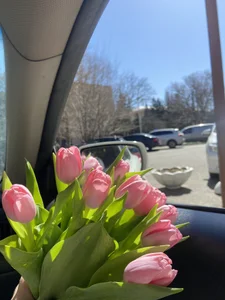 My love for flowers de LindsieGreyy  9 Imagens