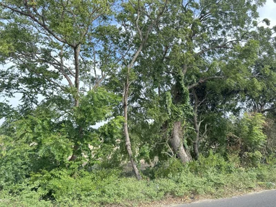 Lush-Office kullanıcısının Public albümü -  6 fotoğraf