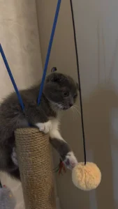 angelic babyyyyy😍😍😍 de AliceBrayan  4 Imagens