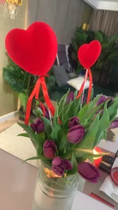 CelesteBailey Be My Valentine 💌 Immagine  5