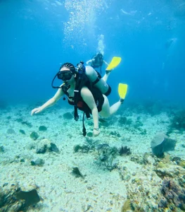 Public de KateJohnson_  5 Imagens